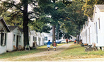 Cottage (1989)