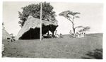 Chapel (1950)
