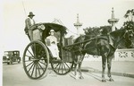Horse and Carriage in Cape Town by A. Rowland
