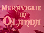 Meraviglie in Olanda by T.L. Osborn Evangelistic Association